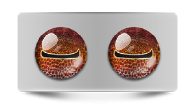 Звериные_02682