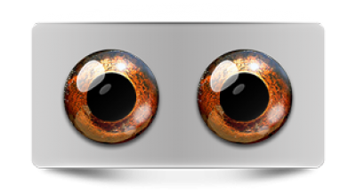 Звериные_02683