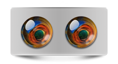 Звериные_02686