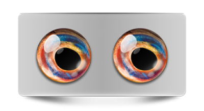 Звериные_02687