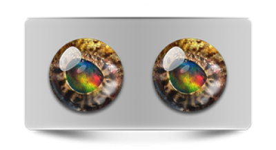 Звериные_02688