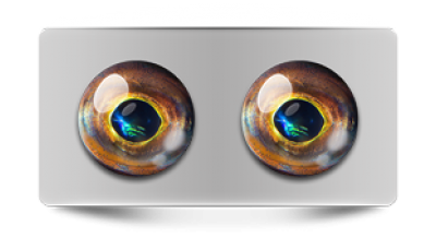 Звериные_02689