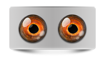 Звериные_02690