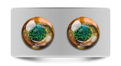 Звериные_02693