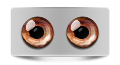 Звериные_02694