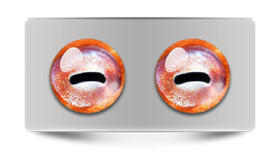 Звериные_02695