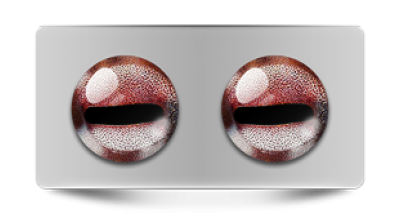 Звериные_02696