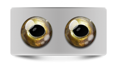 Звериные_02701