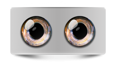 Звериные_02702