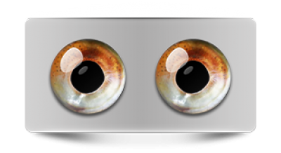 Звериные_02703