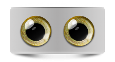 Звериные_02708