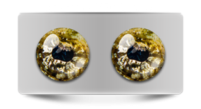 Звериные_02709