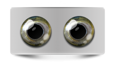 Звериные_02712