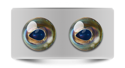 Звериные_02714