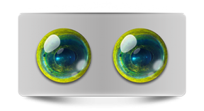 Звериные_02721