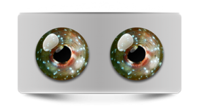 Звериные_02725