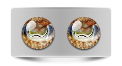 Звериные_02728