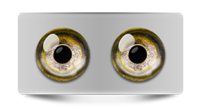 Звериные_02729