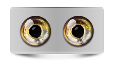 Звериные_02731