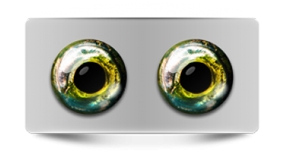 Звериные_02733