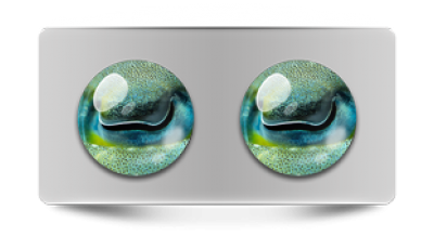 Звериные_02735