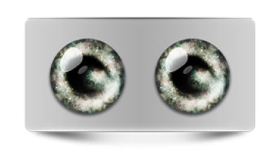 Звериные_02738