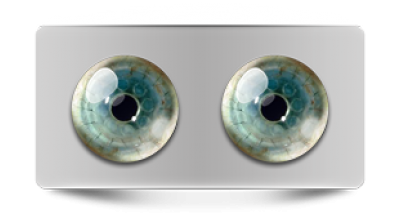 Звериные_02740