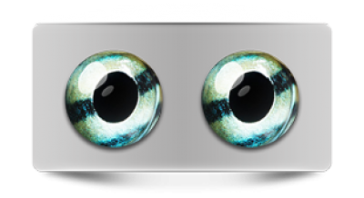 Звериные_02743