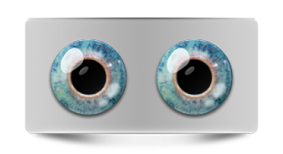 Звериные_02745