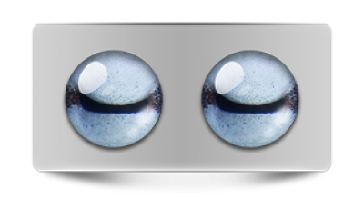 Звериные_02746