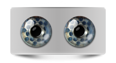 Звериные_02748