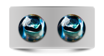 Звериные_02755