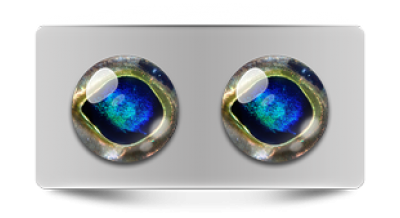 Звериные_02757