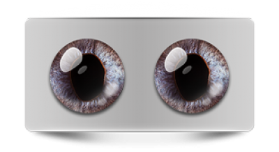 Звериные_02760