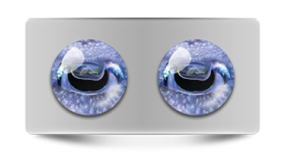 Звериные_02762