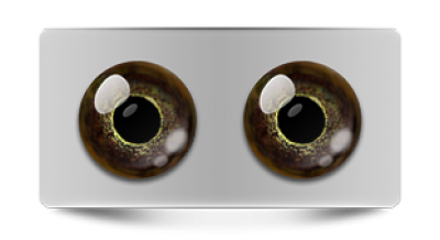 Звериные_02766