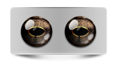 Звериные_02768