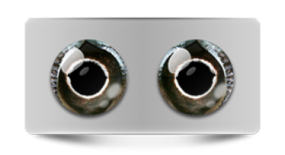 Звериные_02769