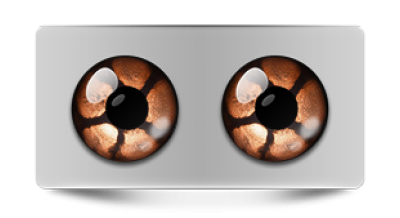 Звериные_02771