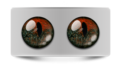 Звериные_02773