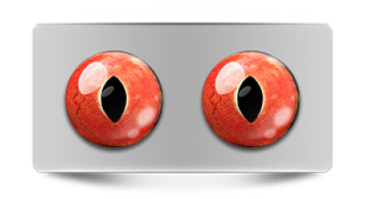 Звериные_02781