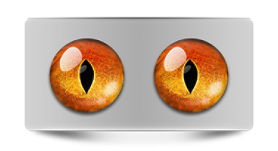 Звериные_02786