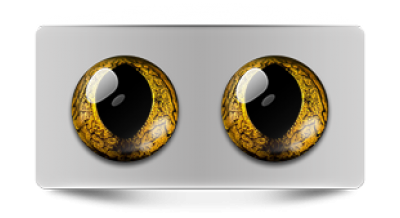 Звериные_02791