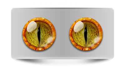 Звериные_02793