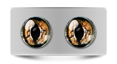 Звериные_02795