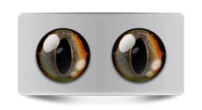 Звериные_02796