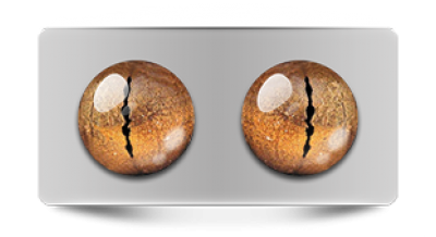 Звериные_02798