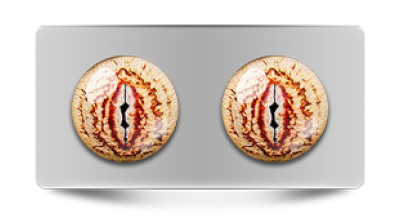 Звериные_02800