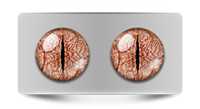 Звериные_02801