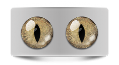 Звериные_02803